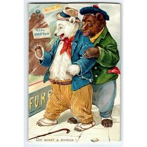 Dressed Bears Shopping Tuck Fantasy Postcard Oh What A Shock Bear Skin 1908